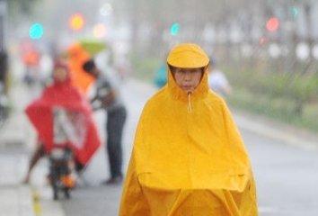 港澳新闻 第34页