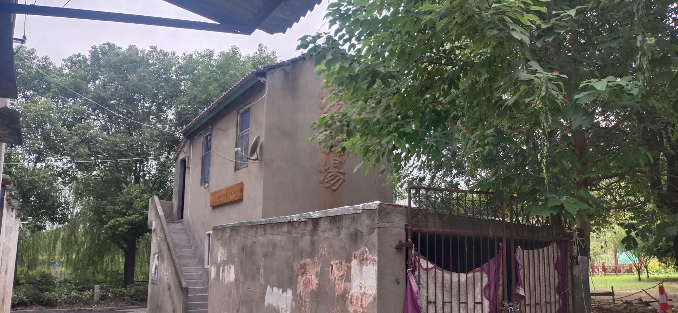 娱乐生活 第17页